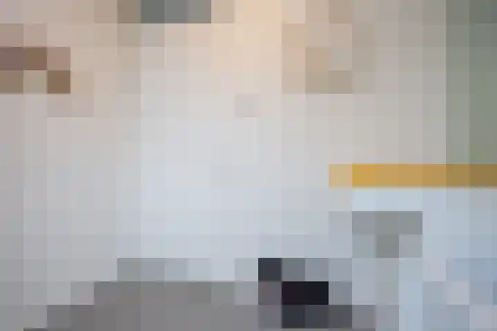 Kloofhamer 48 Best thumbnail 22