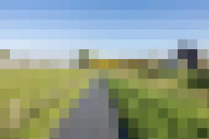 Kloofhamer 48 Best thumbnail 38