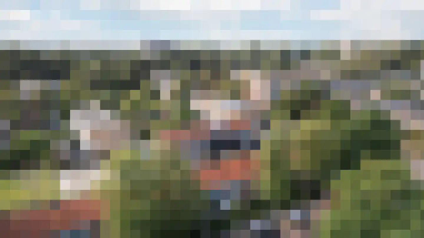 Klooienberglaan 124 Zwolle thumbnail 22