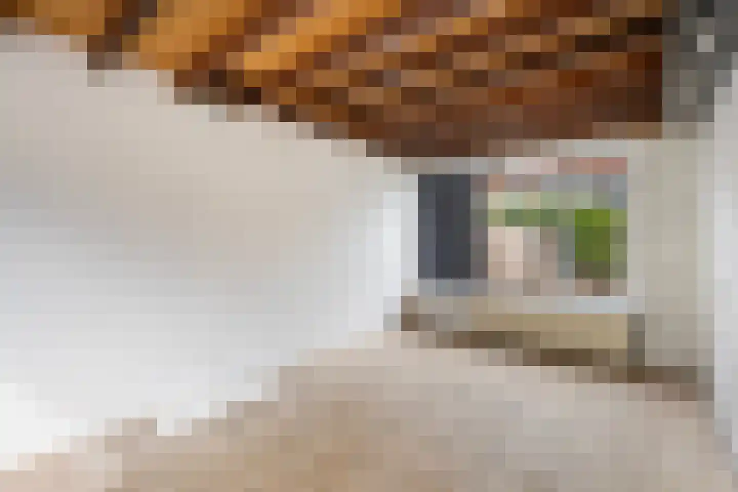 Klooienberglaan 124 Zwolle thumbnail 6