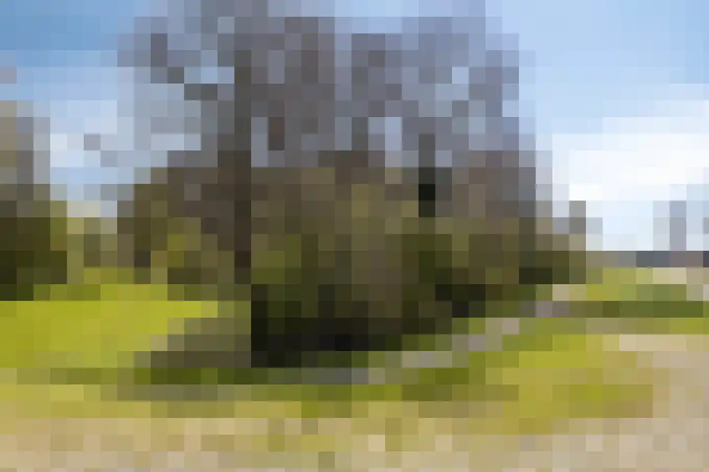 Klooienberglaan 160 Zwolle thumbnail 42