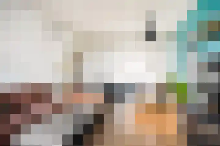 Klooienberglaan 311 Zwolle thumbnail 12