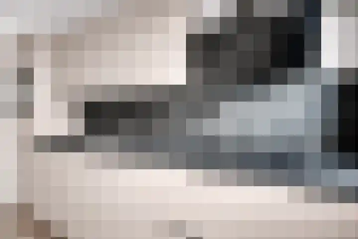 Klooienberglaan 311 Zwolle thumbnail 19