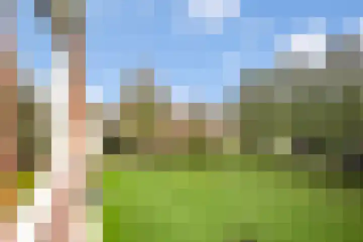 Klooienberglaan 311 Zwolle thumbnail 31