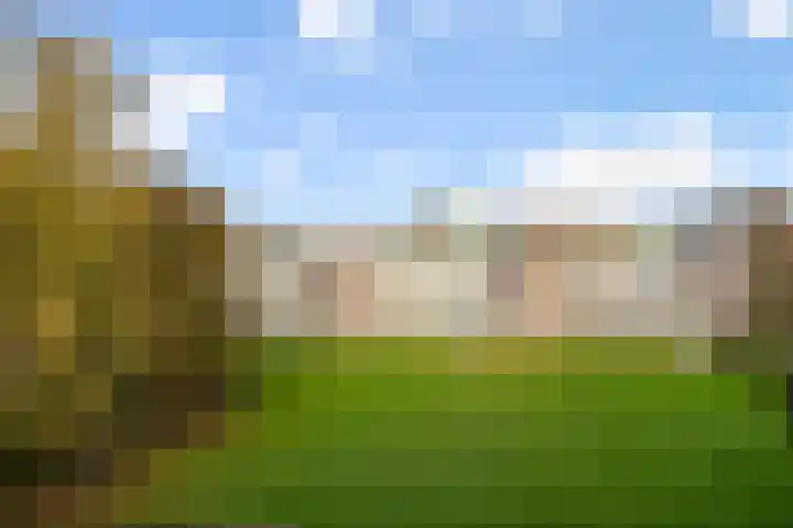 Klooienberglaan 311 Zwolle thumbnail 35