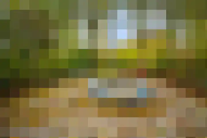 Klooienberglaan 311 Zwolle thumbnail 37
