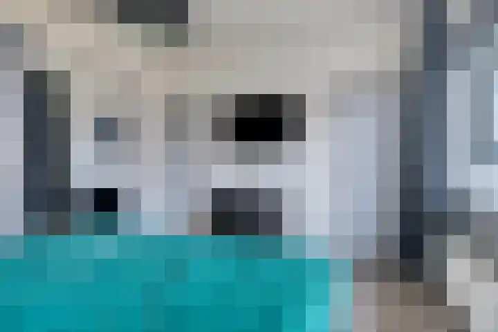 Klooienberglaan 565 Zwolle thumbnail 14