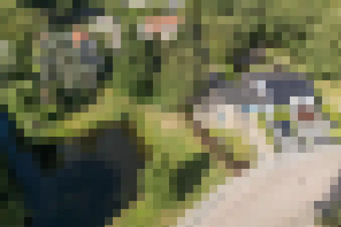 Klooslaan 1 Ridderkerk thumbnail 15
