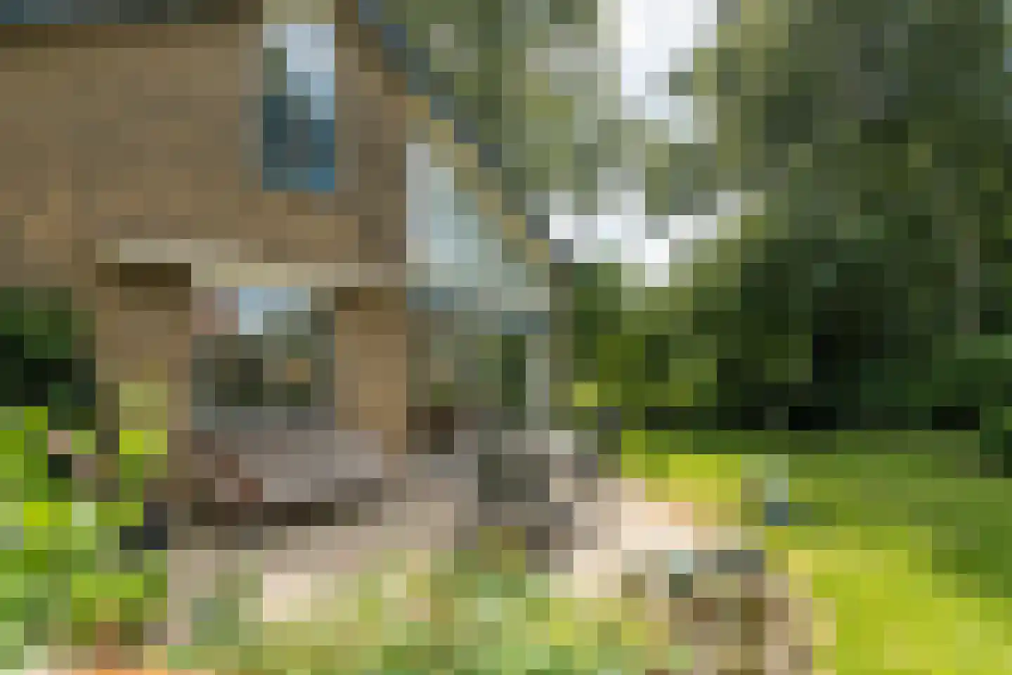 Klooslaan 1 Ridderkerk thumbnail 19