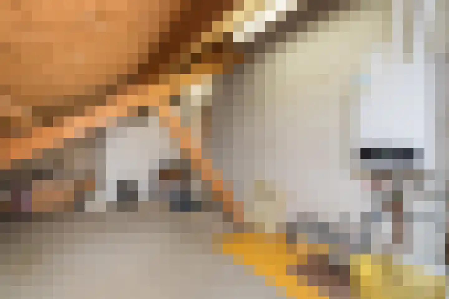 Klooslaan 1 Ridderkerk thumbnail 41