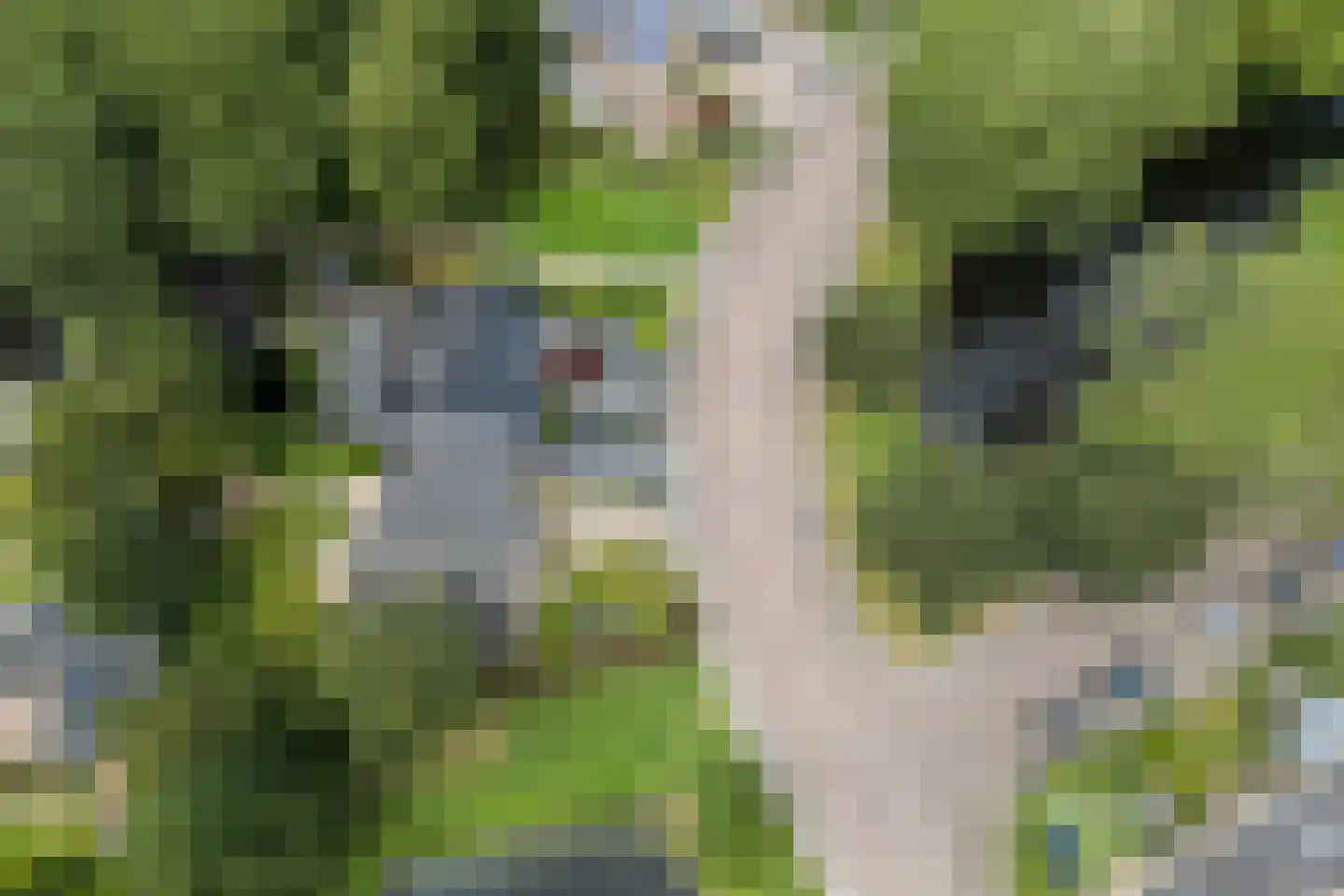 Klooslaan 1 Ridderkerk thumbnail 42