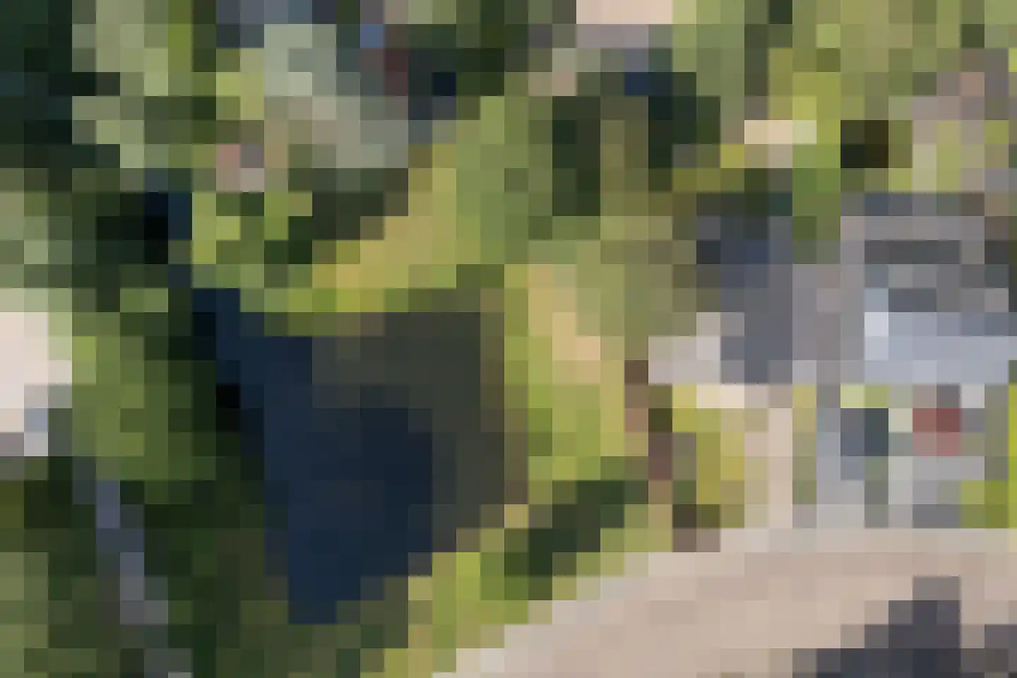 Klooslaan 1 Ridderkerk thumbnail 44