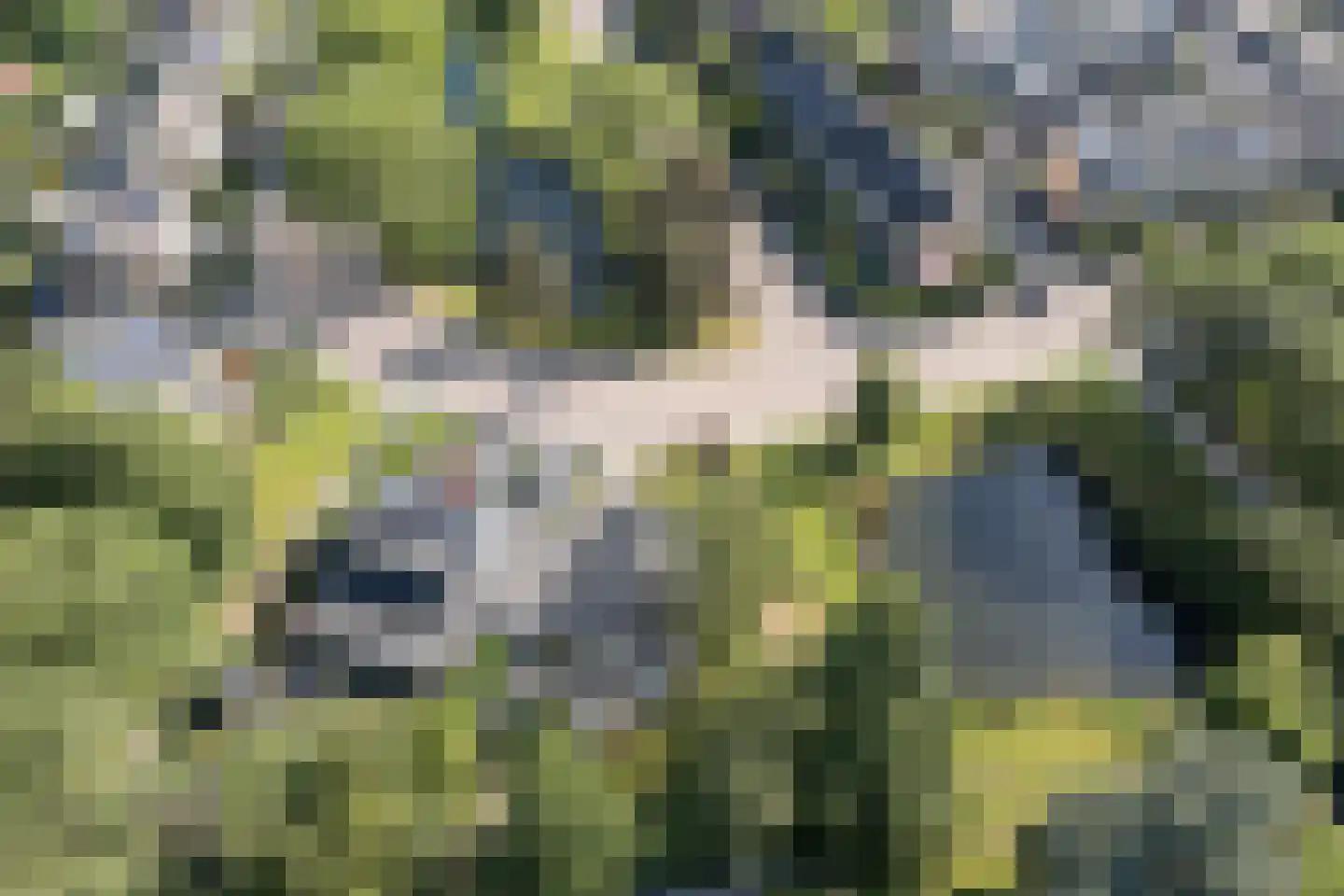 Klooslaan 1 Ridderkerk thumbnail 49