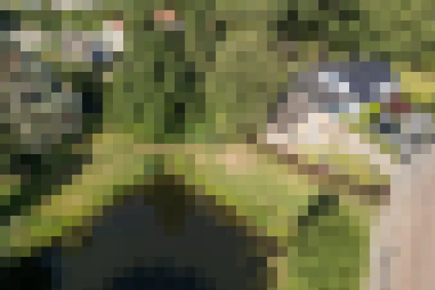 Klooslaan 1 Ridderkerk thumbnail 50