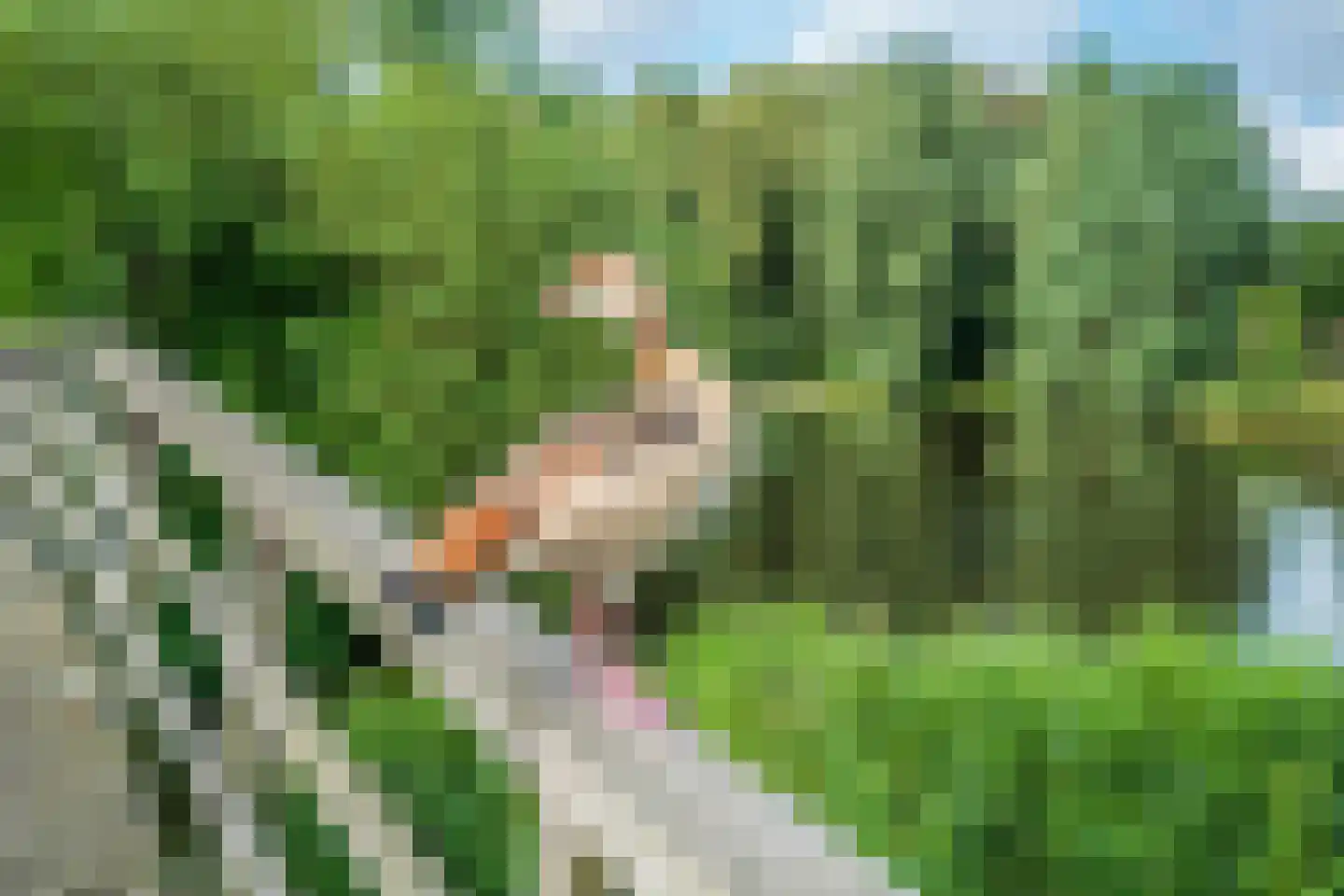 Klooslaan 1 Ridderkerk thumbnail 55
