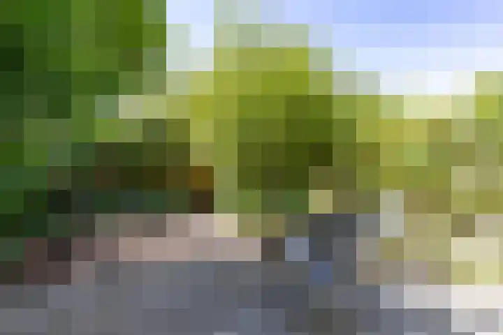 Klooslaan 41 Groningen thumbnail 14