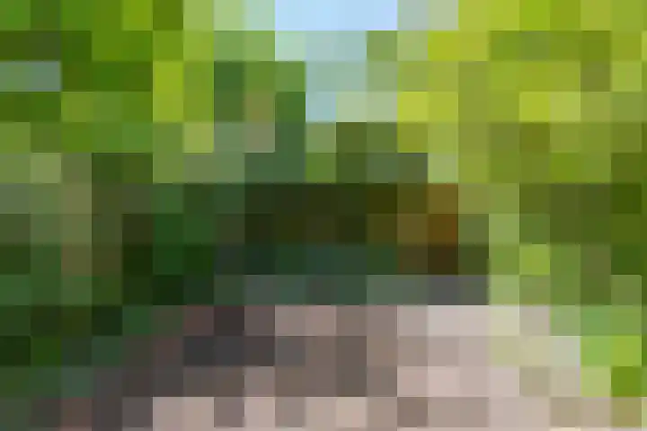 Klooslaan 41 Groningen thumbnail 15