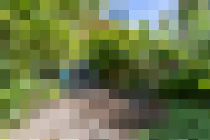 Klooslaan 41 Groningen thumbnail 16