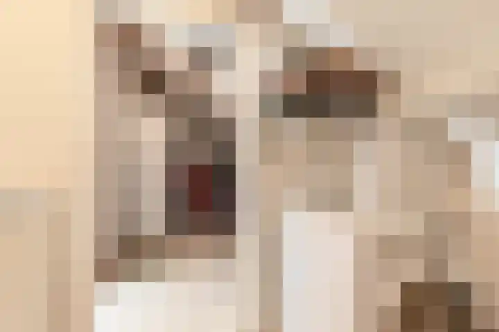 Klooslaan 41 Groningen thumbnail 37