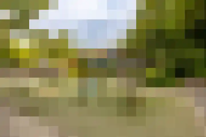 Klooslaan 41 Groningen thumbnail 46