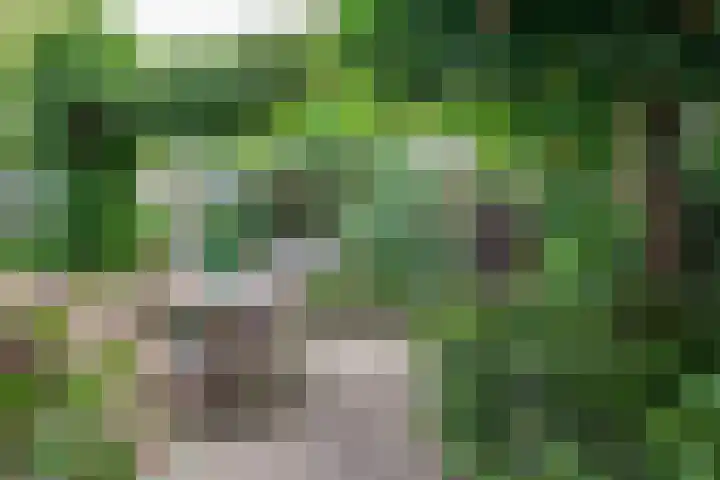 Klooslaan 59 Groningen thumbnail 36