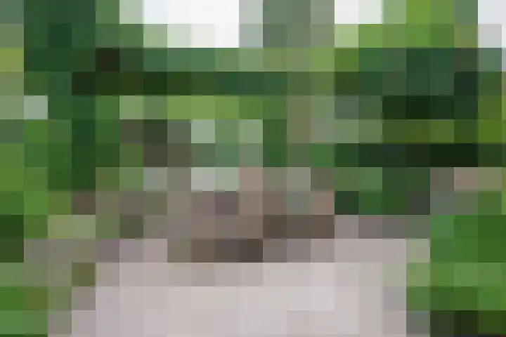 Klooslaan 59 Groningen thumbnail 37