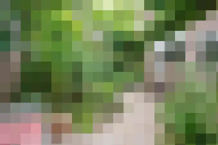 Klooslaan 59 Groningen thumbnail 38
