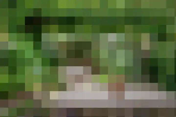 Klooslaan 59 Groningen thumbnail 39