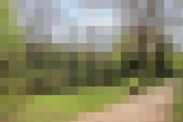 Kloosplantsoen 117 Ridderkerk thumbnail 37