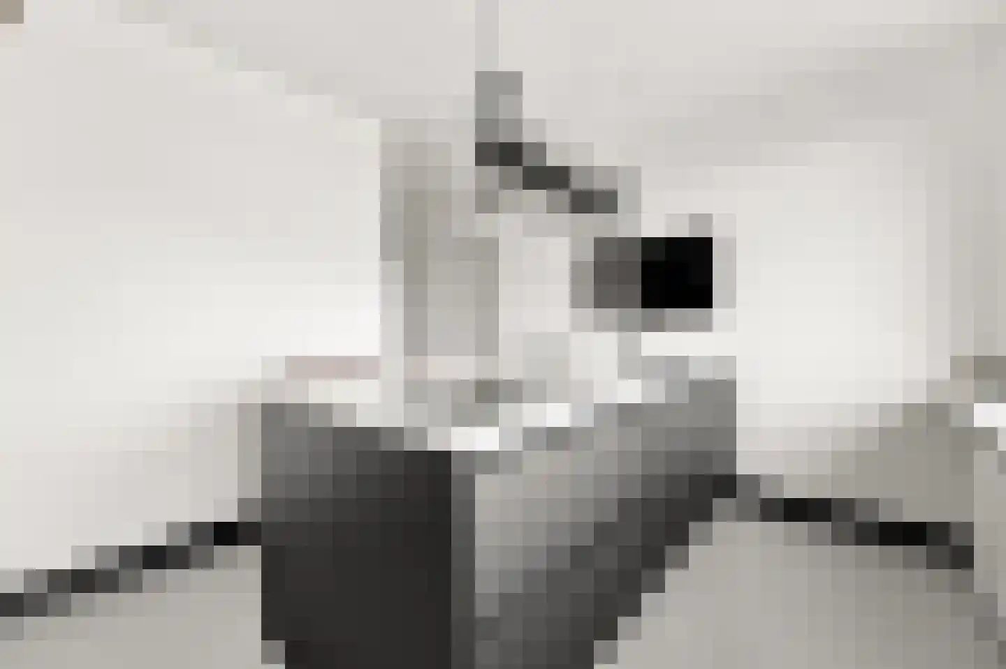 Kloosplantsoen 143 Ridderkerk thumbnail 17