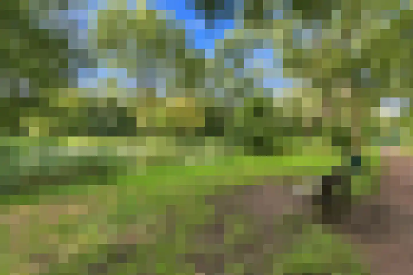 Kloosplantsoen 143 Ridderkerk thumbnail 43