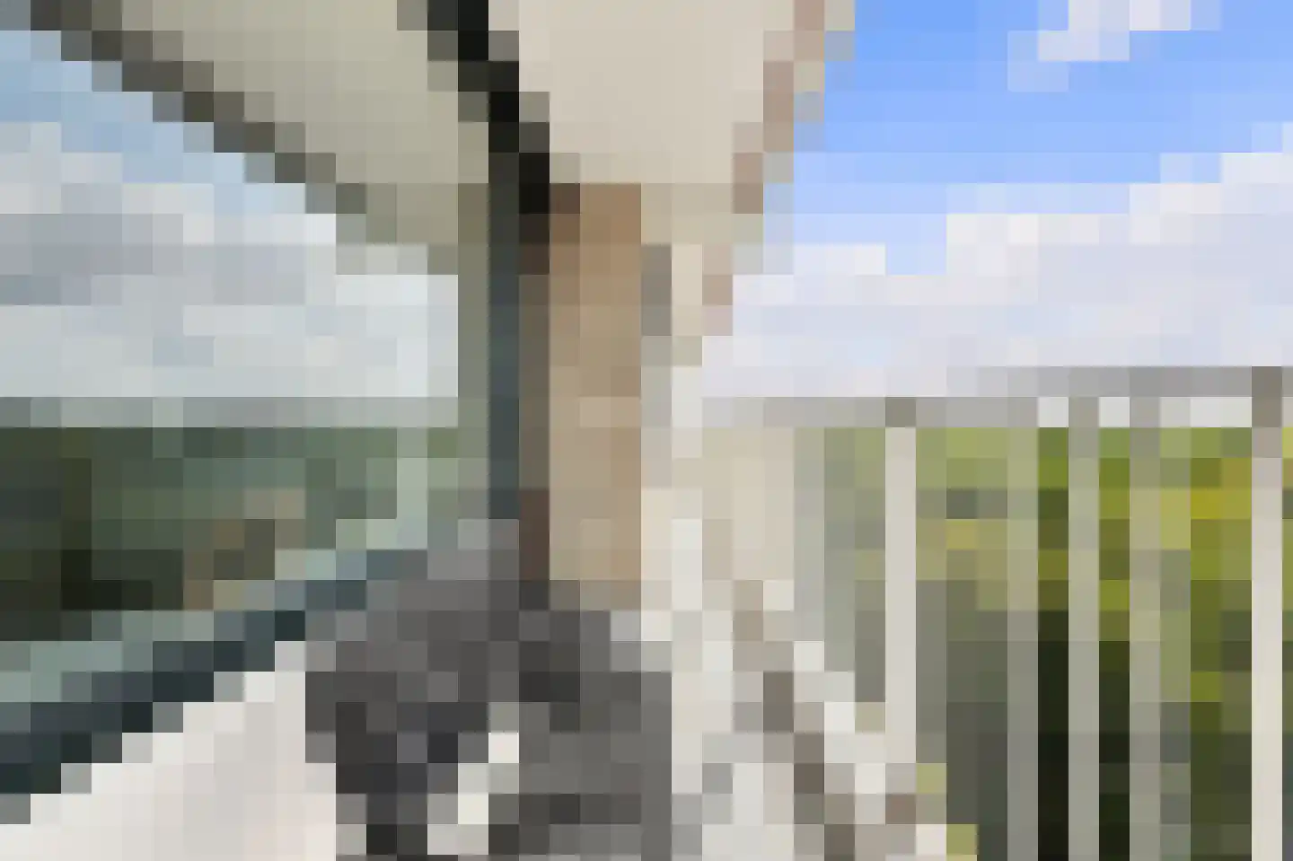 Kloosplantsoen 143 Ridderkerk thumbnail 9