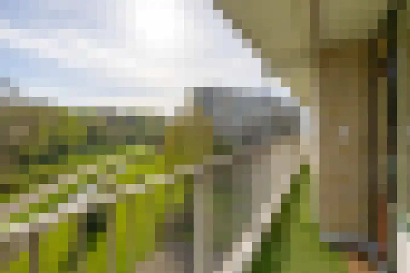 Kloosplantsoen 155 Ridderkerk thumbnail 28