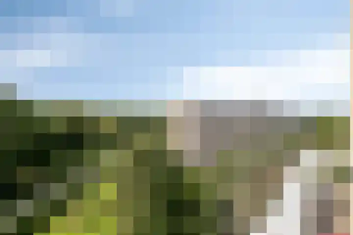 Kloosplantsoen 187 Ridderkerk thumbnail 16
