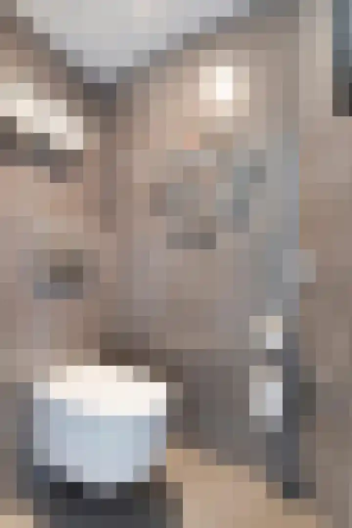 Kloosplantsoen 187 Ridderkerk thumbnail 22