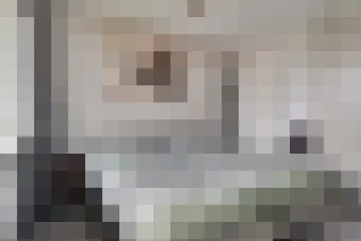 Kloosplantsoen 187 Ridderkerk thumbnail 27