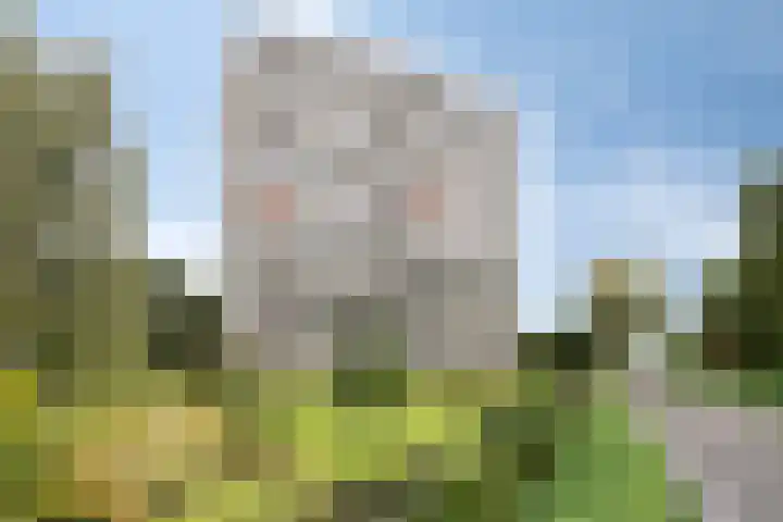 Kloosplantsoen 187 Ridderkerk thumbnail 40