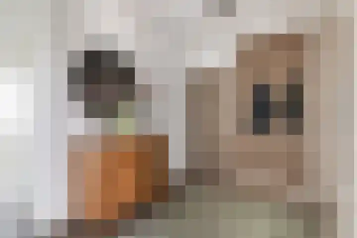 Kloosplantsoen 187 Ridderkerk thumbnail 7