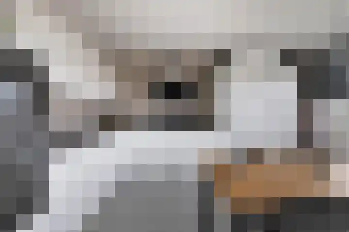 Kloosplantsoen 187 Ridderkerk thumbnail 9