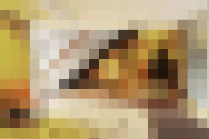 Kloosplantsoen 301 Ridderkerk thumbnail 10