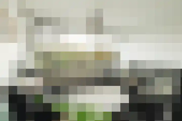 Kloosplantsoen 301 Ridderkerk thumbnail 15
