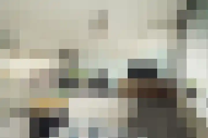 Kloosplantsoen 301 Ridderkerk thumbnail 17