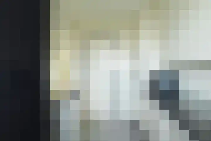 Kloosplantsoen 301 Ridderkerk thumbnail 19