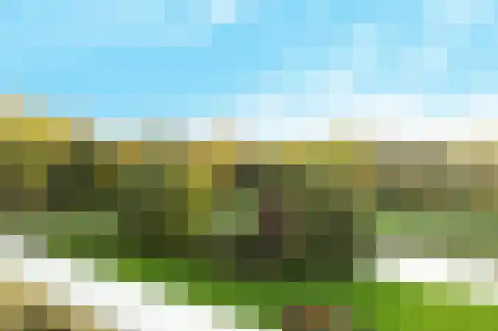Kloosplantsoen 301 Ridderkerk thumbnail 28