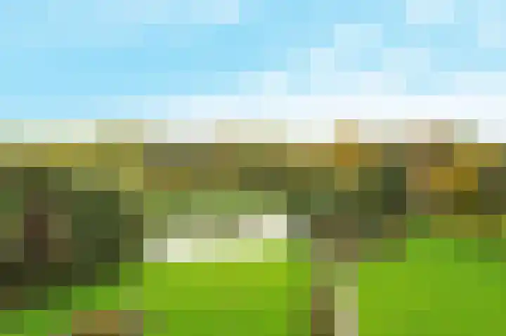 Kloosplantsoen 301 Ridderkerk thumbnail 29