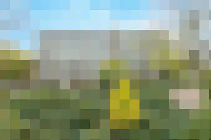 Kloosplantsoen 301 Ridderkerk thumbnail 32