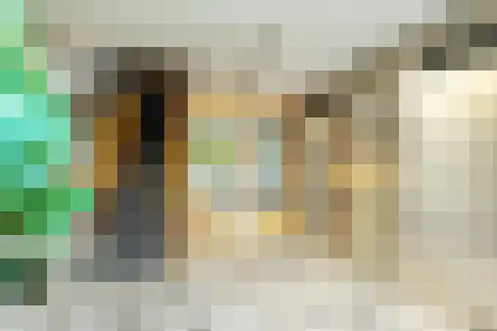 Kloosplantsoen 301 Ridderkerk thumbnail 9