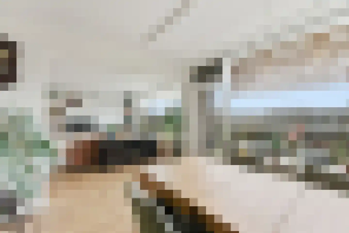 Kloosplantsoen 349 Ridderkerk thumbnail 11