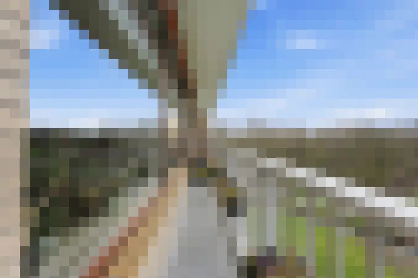 Kloosplantsoen 349 Ridderkerk thumbnail 14