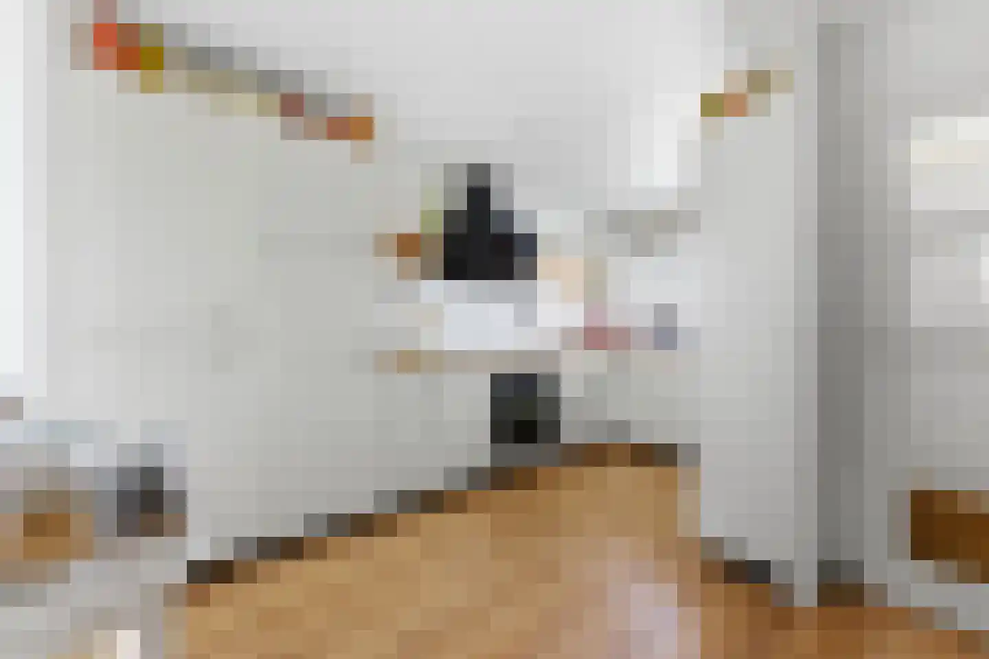 Kloosplantsoen 349 Ridderkerk thumbnail 19